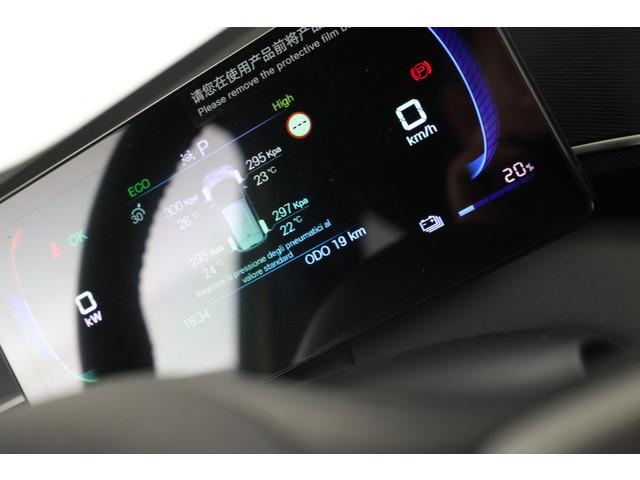BYD Dolphin Surf