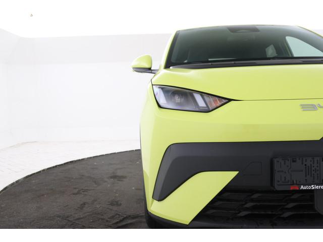 BYD Dolphin Surf