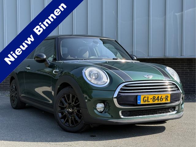Mini Mini