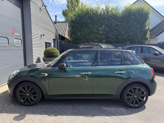Mini Mini