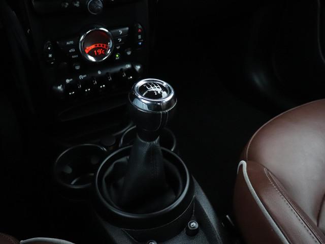 Mini Paceman