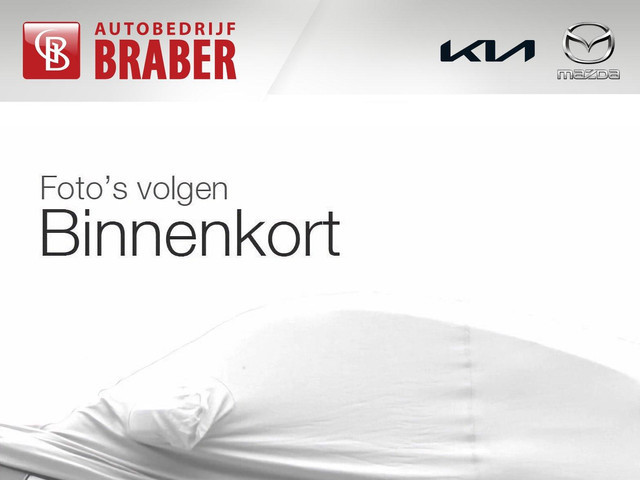 Kia Niro 2020 Elektrisch