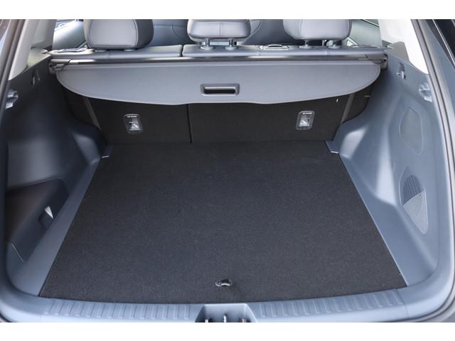 Geely Starray EM-i