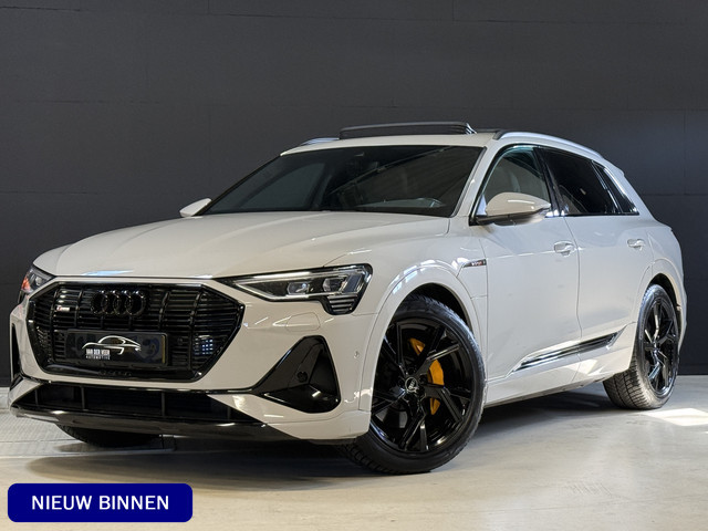 Audi e-tron 2021 Elektrisch