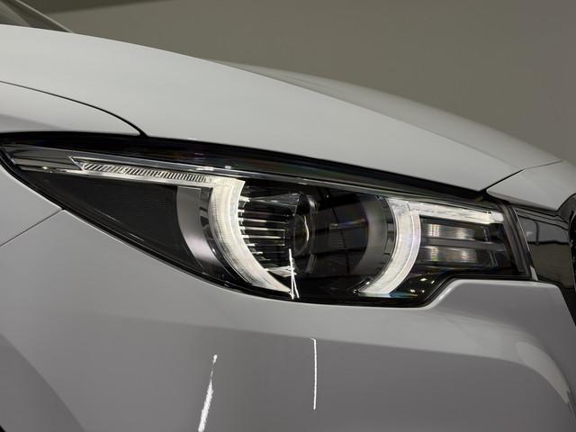 MG ZS-EV