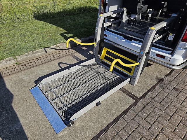 Maxus EV80