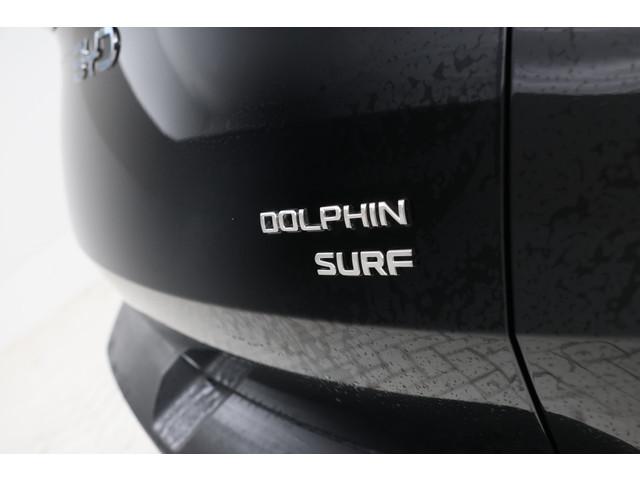 BYD Dolphin Surf