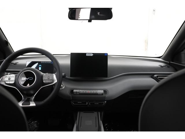 BYD Dolphin Surf