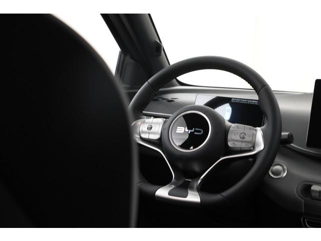 BYD Dolphin Surf
