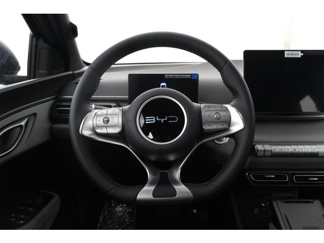 BYD Dolphin Surf