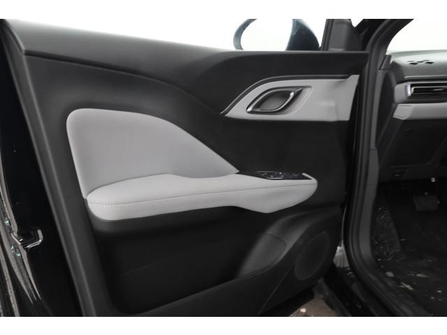 BYD Dolphin Surf
