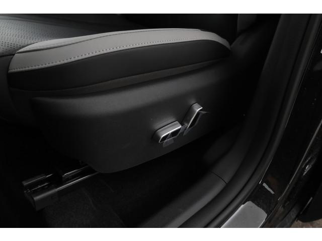 BYD Dolphin Surf