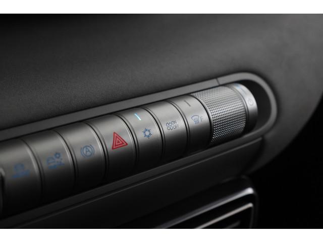 BYD Dolphin Surf