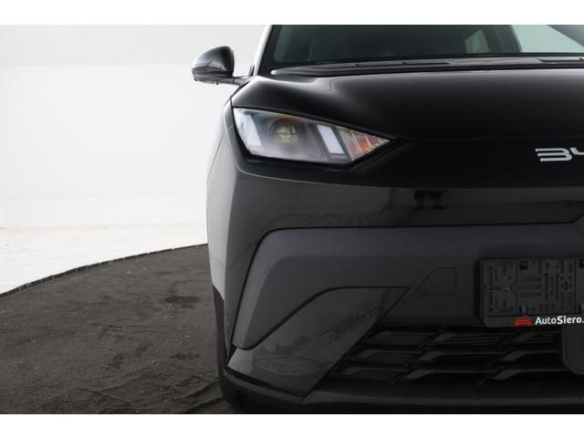 BYD Dolphin Surf