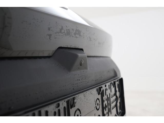 BYD Dolphin Surf