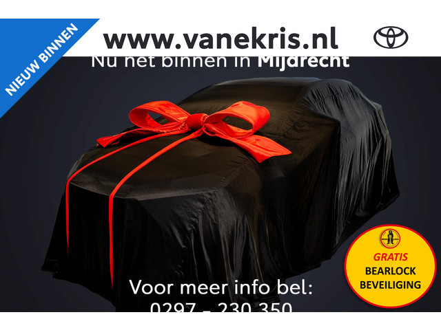 Toyota RAV4 2019 Hybride