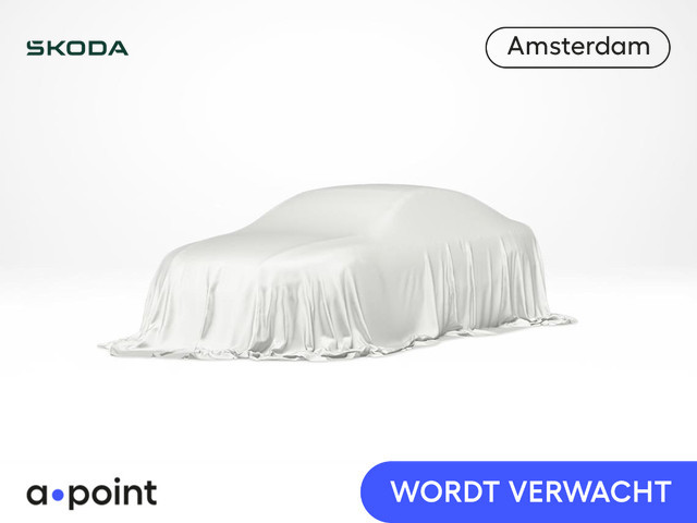 Skoda Karoq 2024 Benzine