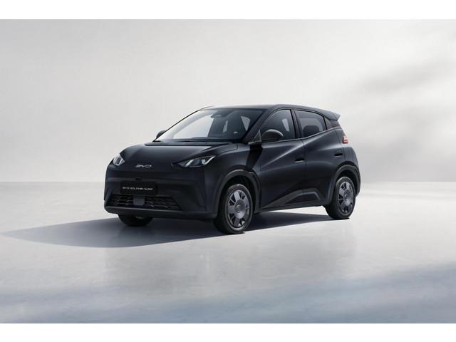 BYD Dolphin Surf 2026 Elektrisch