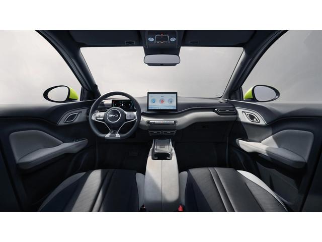 BYD Dolphin Surf