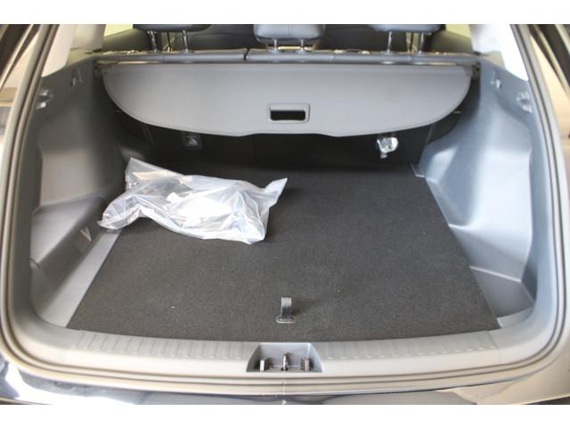 Geely Starray EM-i