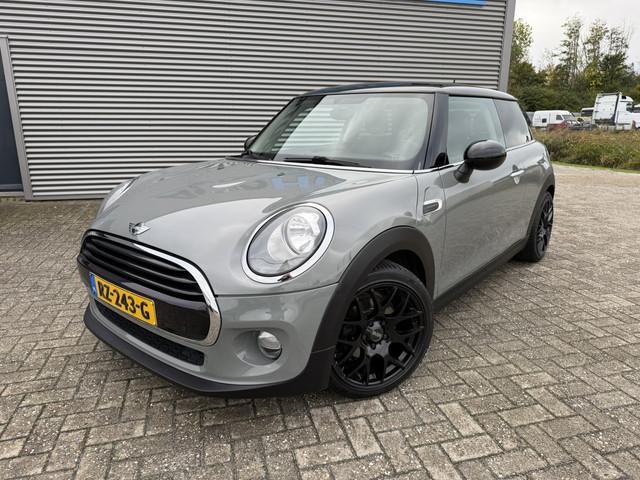 Mini Mini