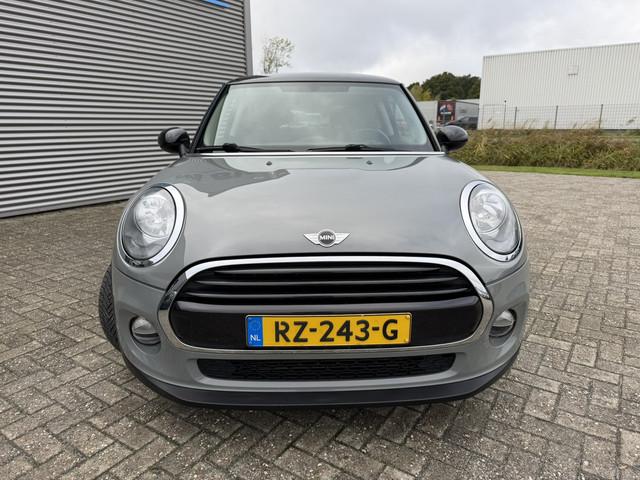 Mini Mini
