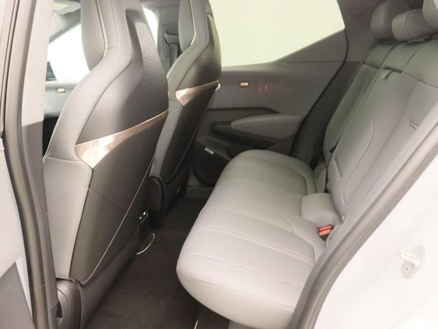 Zeekr X