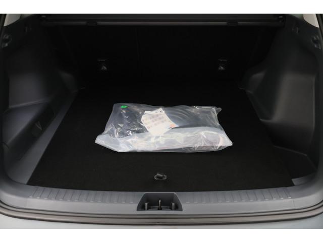 Geely Starray EM-i