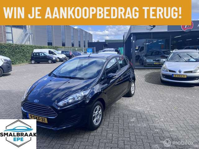 Ford Fiesta 2013 Benzine