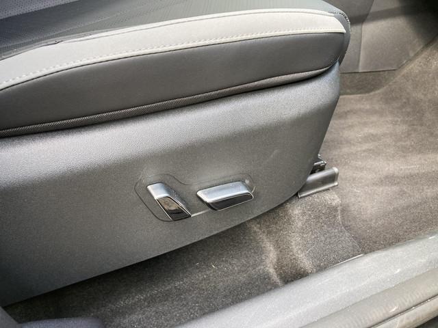 BYD Dolphin Surf