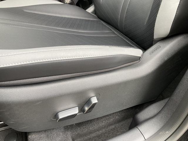 BYD Dolphin Surf