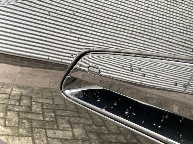 BYD Dolphin Surf