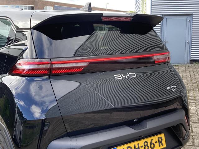 BYD Dolphin Surf