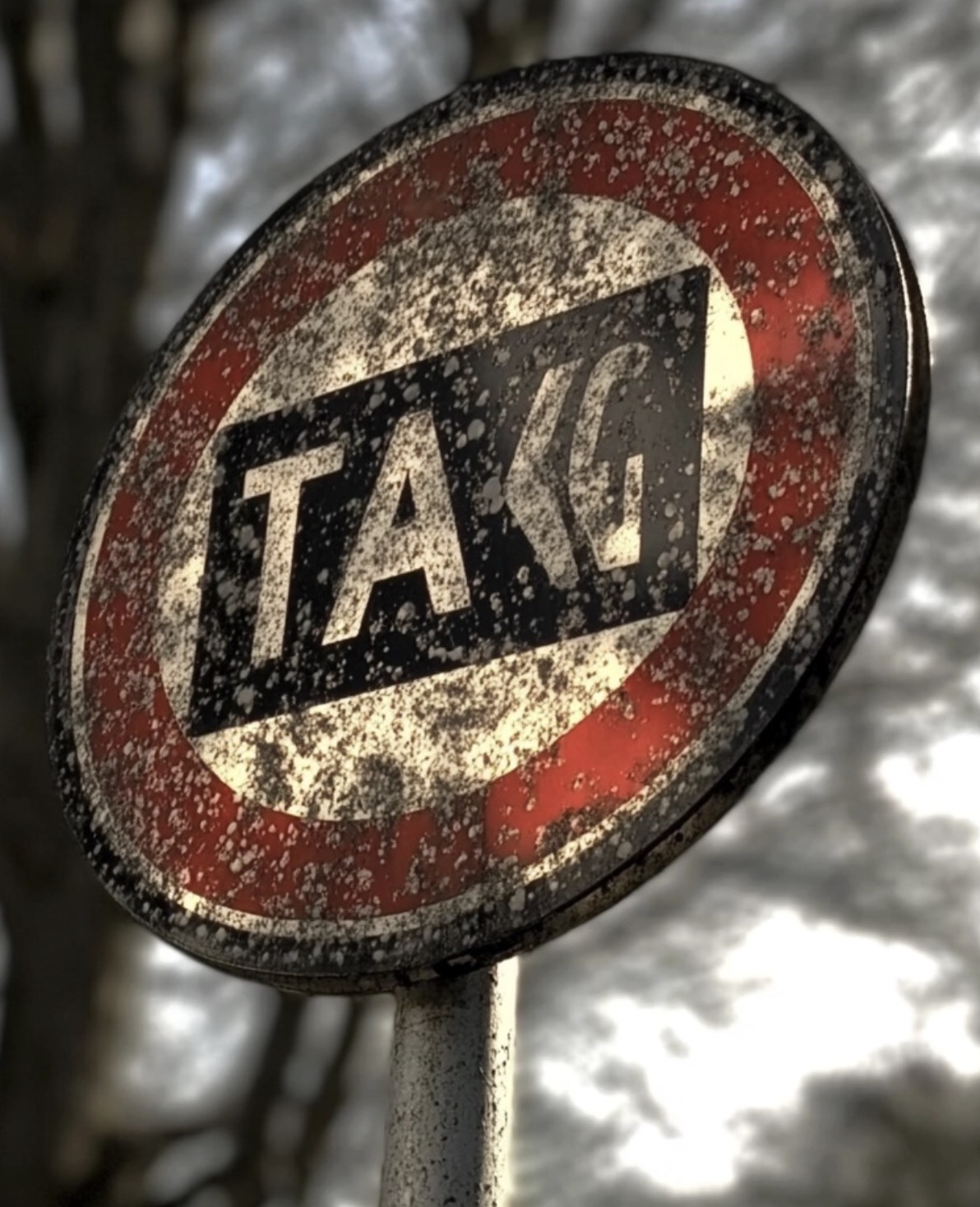 bijzondere-verkeersregels-europa0012