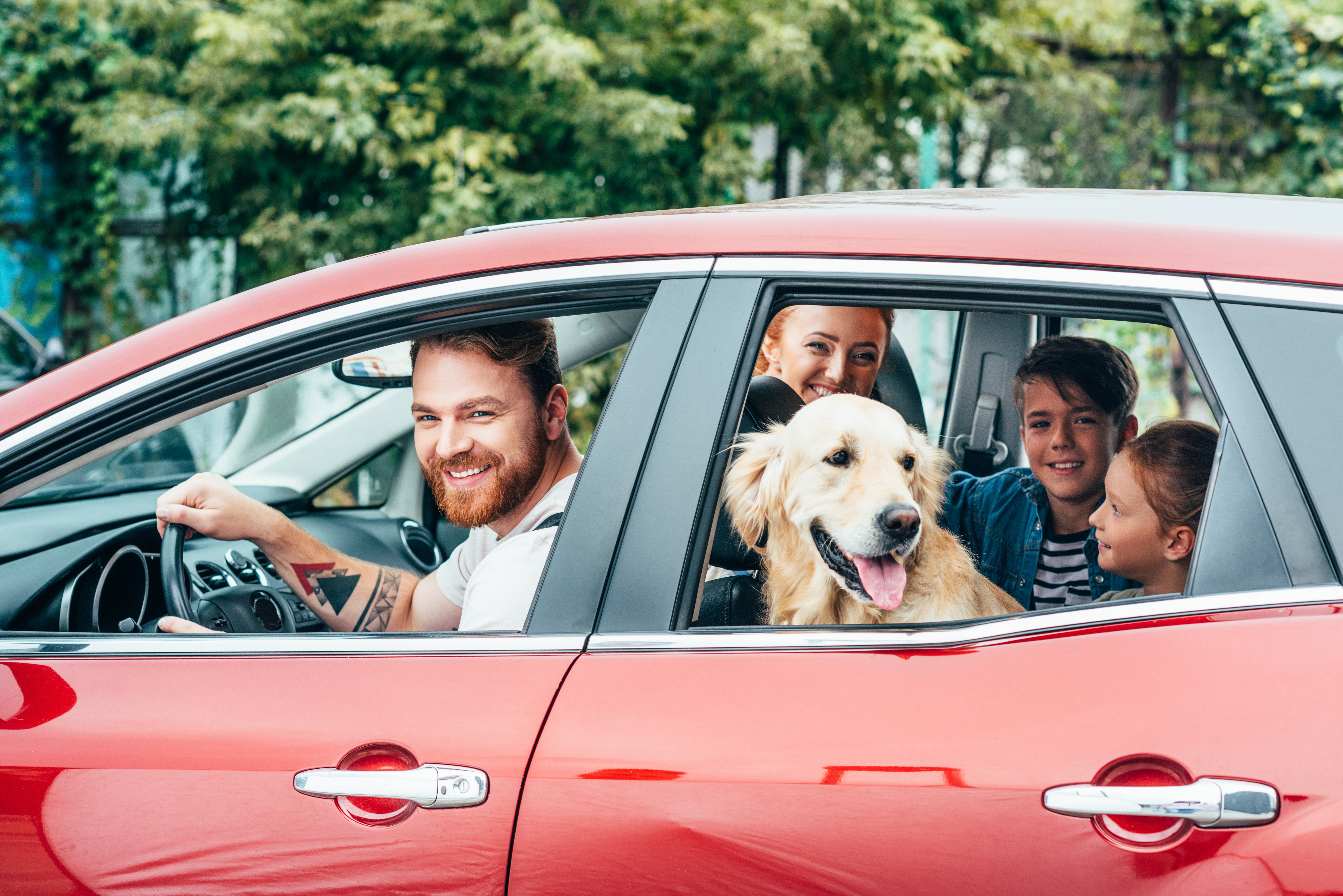 Je huisdier veilig vervoeren in je auto